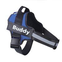 Reflective And Breathable Adjustable Pet Strap Vest (Option: Blue-L)