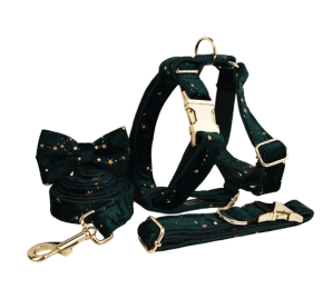 Pet Collar Dog Fabric Velvet (Option: Green-XL)