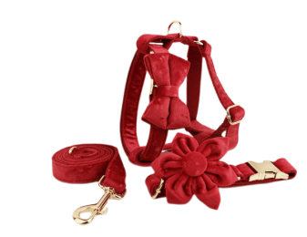 Pet Collar Dog Fabric Velvet (Option: Red-XL)