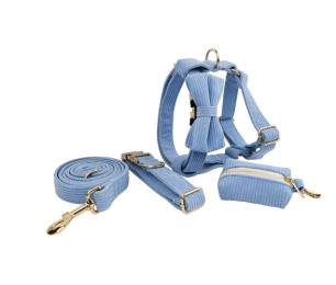 Pet Collar Dog Fabric Velvet (Option: Sky Blue-XL)