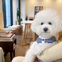 Summer Thin Pet Stripe Tank Top (Option: Navy Blue-L)