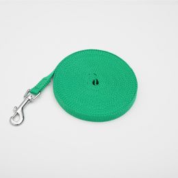 Pet Polyester Tracking Lead Rope (Option: Green-15mX1.6cm)