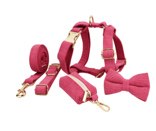 Pet Collar Dog Fabric Velvet (Option: Rose Red-XL)