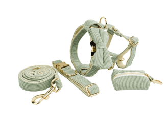 Pet Collar Dog Fabric Velvet (Option: Light Green-XL)